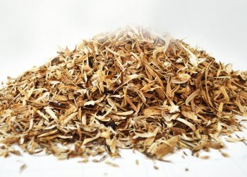 Hình ảnh Trầm Hương