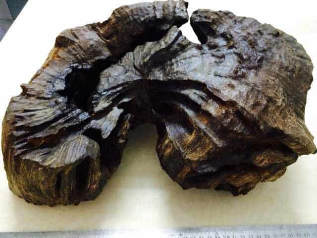 Trầm Hương Kỳ Nam