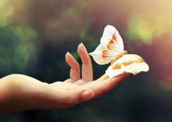 Điềm báo may mắn