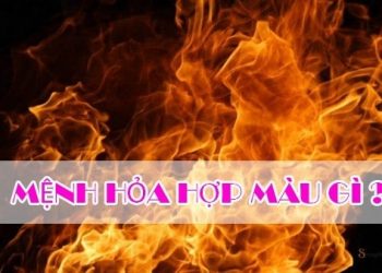 Hợp màu gì?