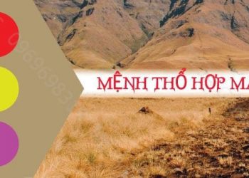 Mệnh Thổ hợp màu gì