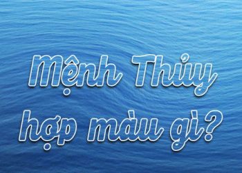 Hợp với màu nào?