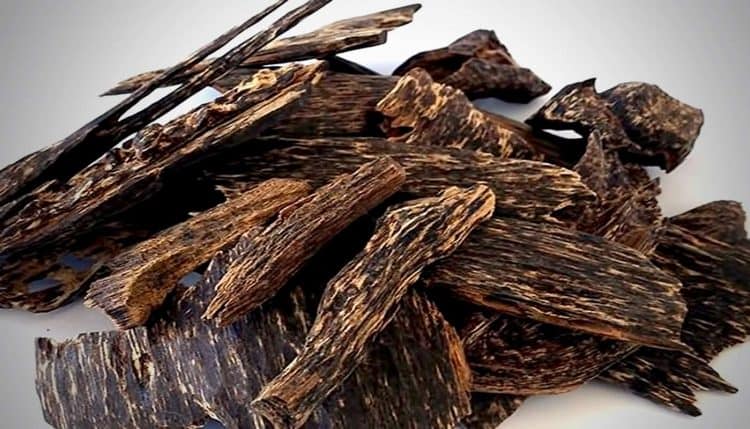 Cách nhận biết gỗ trầm hương