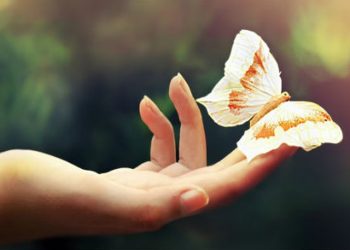 vận mệnh con người