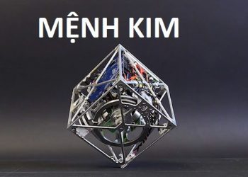mạng kim hợp màu gì