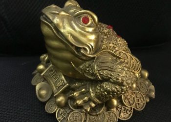 Cách khai quang thiềm thừ