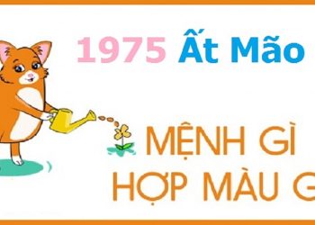 Sinh năm 1975 mệnh gì
