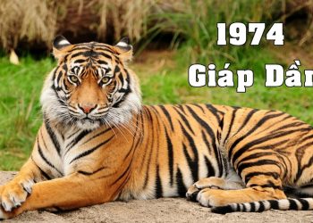 Sinh năm 1974 mệnh gì