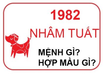 Những người sinh năm mệnh 1982 hợp với màu gì?