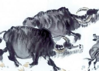 Sinh năm 1973 mệnh gì