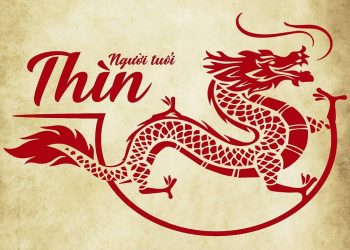 1988 mệnh gì