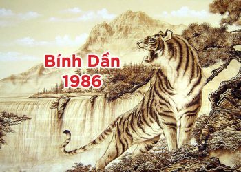1986 mệnh gì