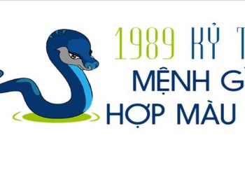 1989 mệnh gì