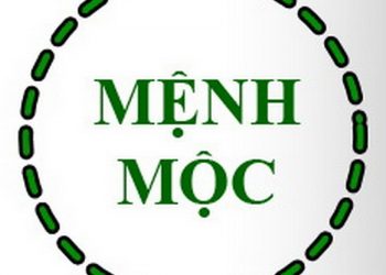 Sơ lược về mệnh mộc