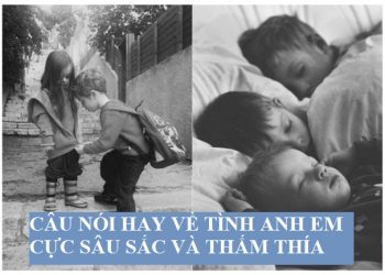 câu nói hay về tình anh em