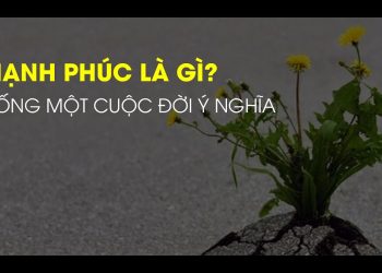 Hạnh phúc là gì