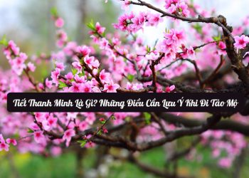 Tiết Thanh Minh ngày nào? Nguồn gốc, ý nghĩa với người Việt