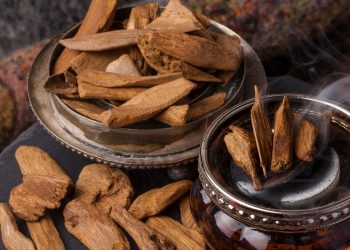 Trầm Hương miếng - Cách đốt Trầm Hương miếng