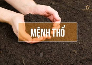Đại Trạch Thổ