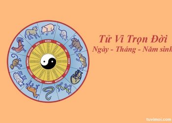 Xem Tử Vi Online Có Đúng Không?