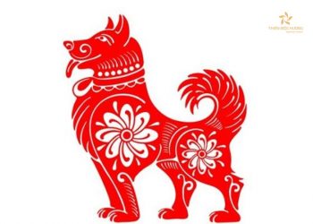 1958 mệnh gì