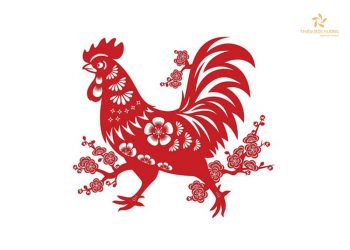1981 mệnh gì