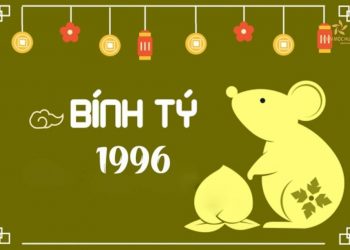 1996 mệnh gì