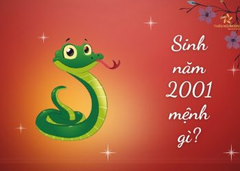2001 mệnh gì