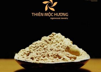 Vòng trầm hương 17 hạt có ý nghĩa gì? 5+ mẫu vòng ưa chuộng