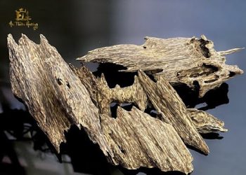 Vụn gỗ trầm