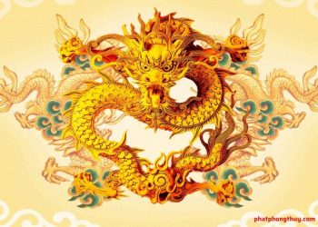 Tử vi tuổi Canh Thìn năm 2024 dự báo có nhiều nỗi buồn trong các mối quan hệ cá nhân